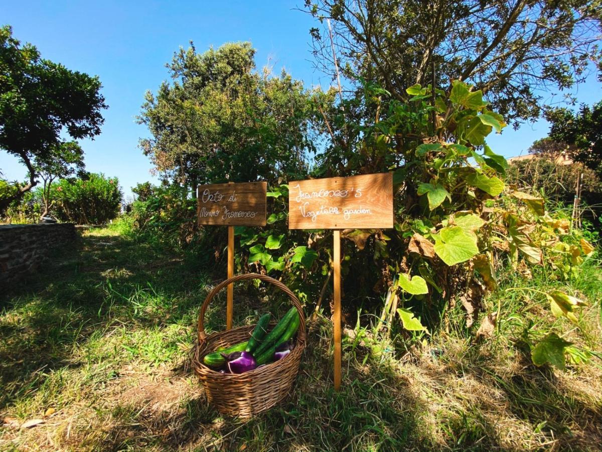 Villa Patrizia Stintino Εξωτερικό φωτογραφία