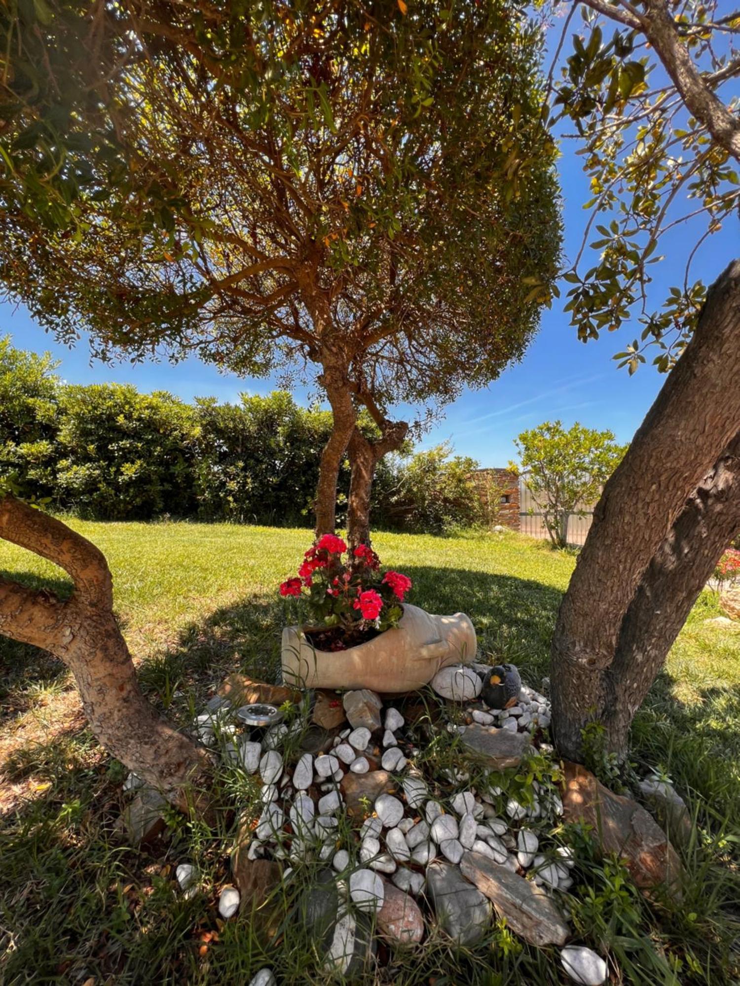 Villa Patrizia Stintino Εξωτερικό φωτογραφία